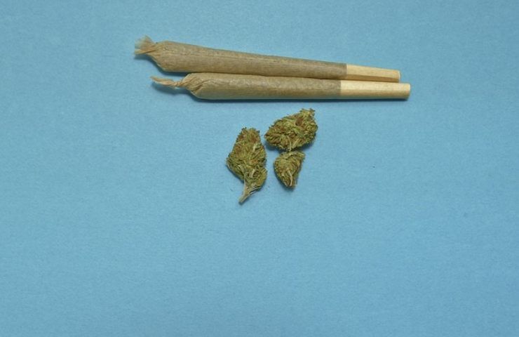 legalizzazione cannabinoidi 