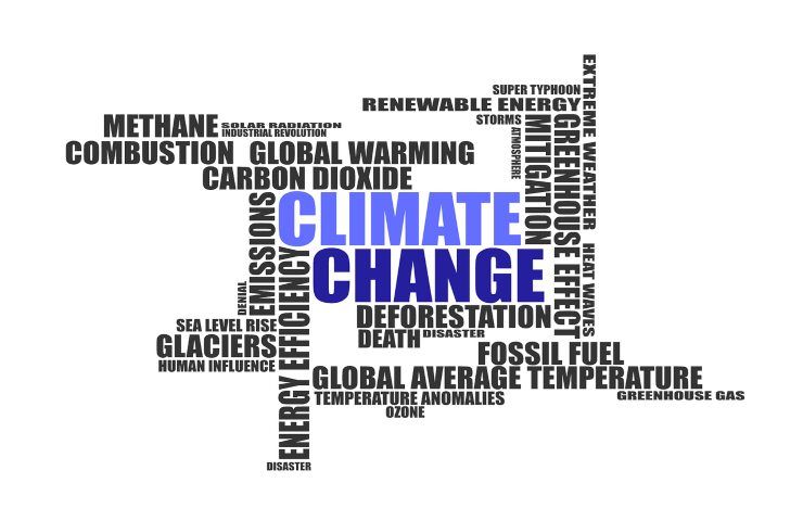 Cambiamento climatico ecotips