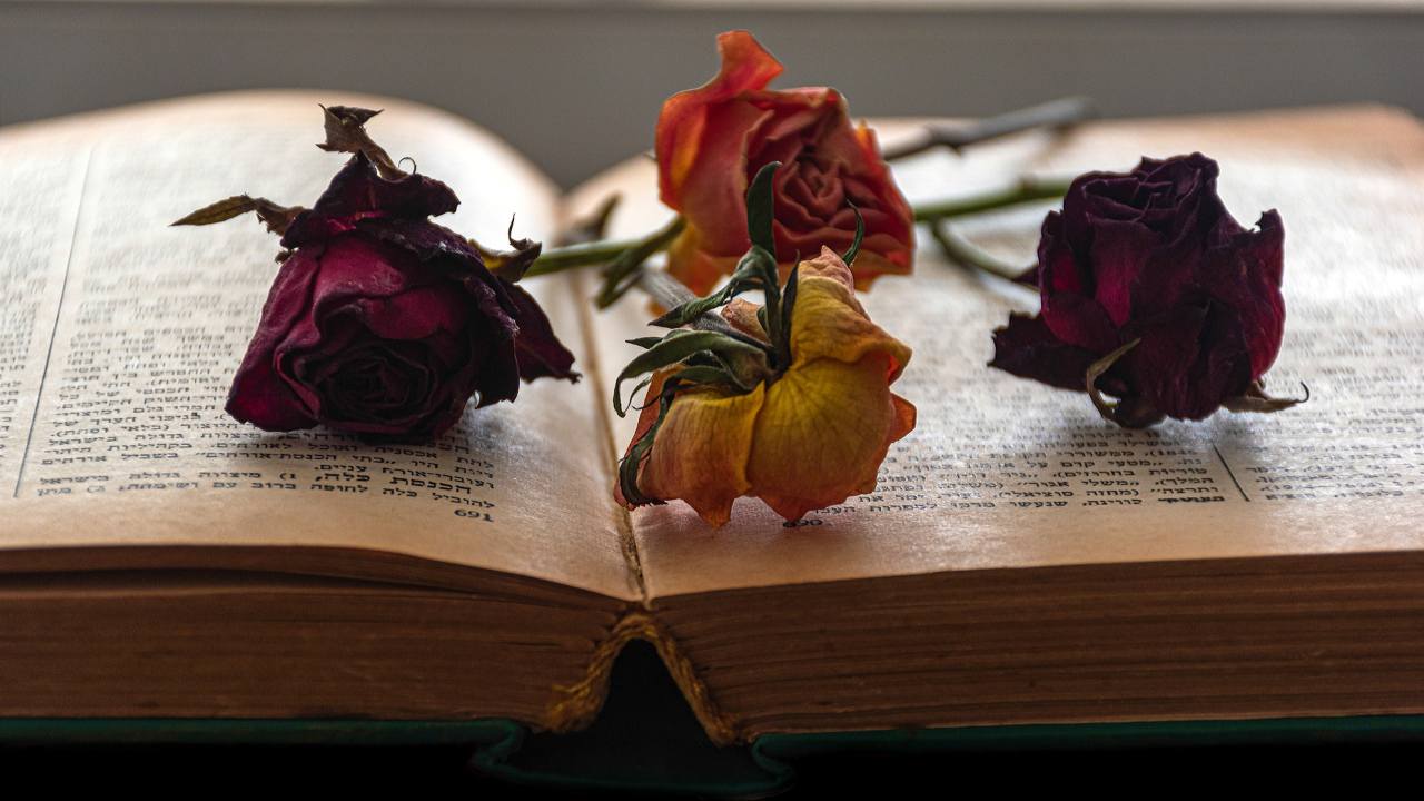 fiori significato bouquet