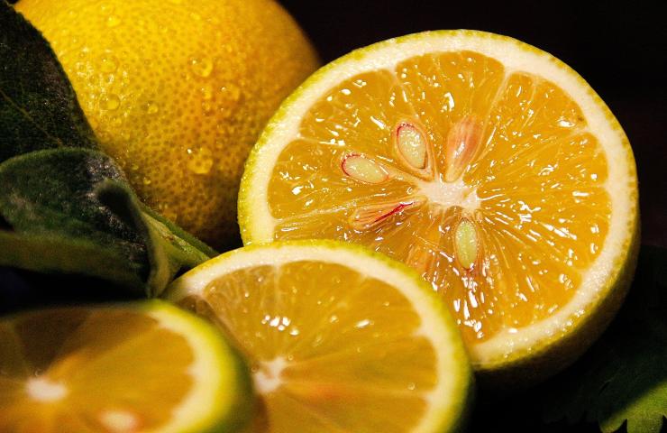 Coltivazione italia limone spaccato