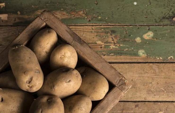 patate cassetta coltivazione