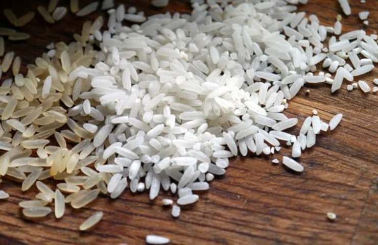 chicchi riso concime