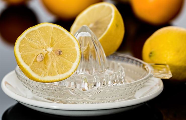 limoni spremiagrumi pulizie bagno