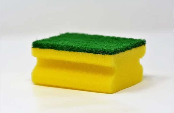 spugna gialla verde batteri
