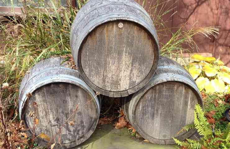 distilleria rum Nicaragua