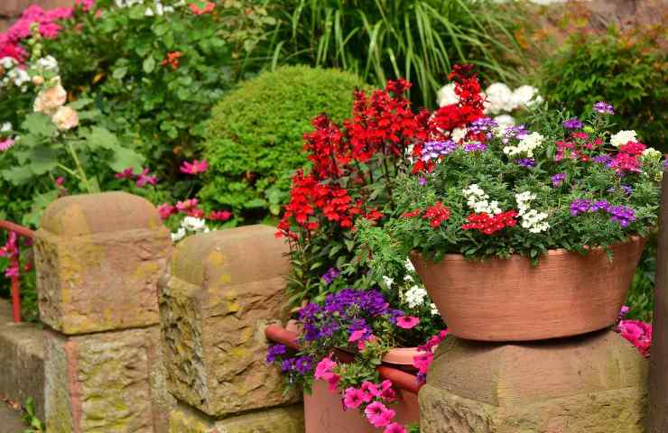 fiori balcone casa