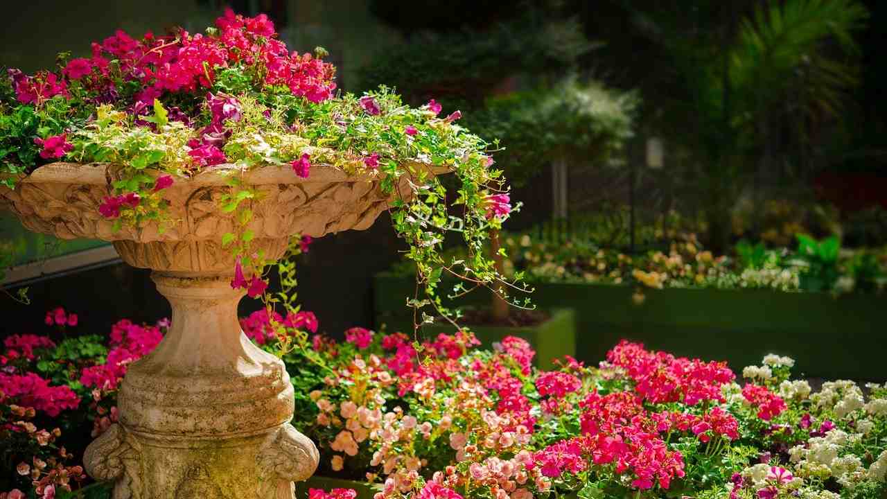 fioritura piante giardino