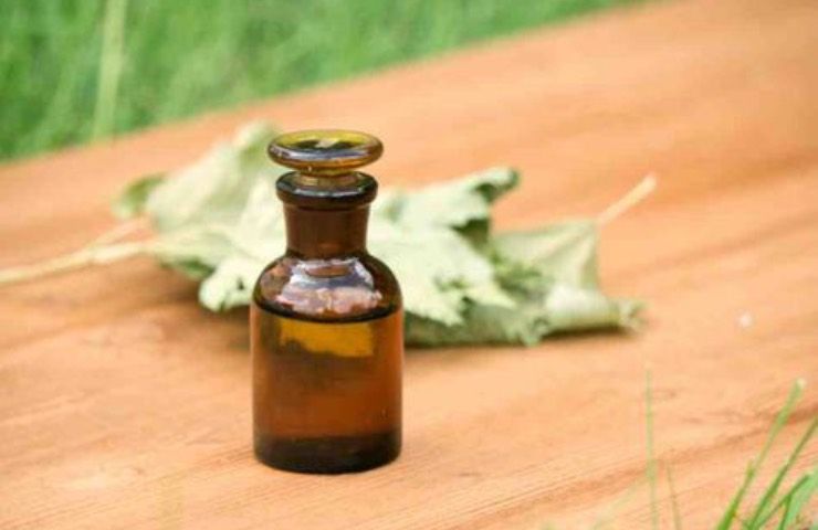 olio essenziale foglie benefici
