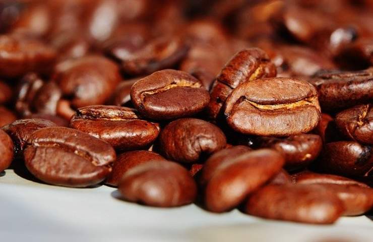 caffè in chicchi