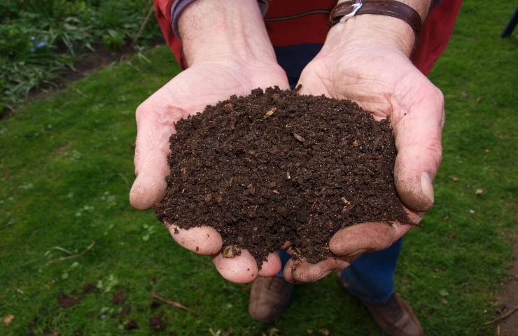 Compost domestico terra