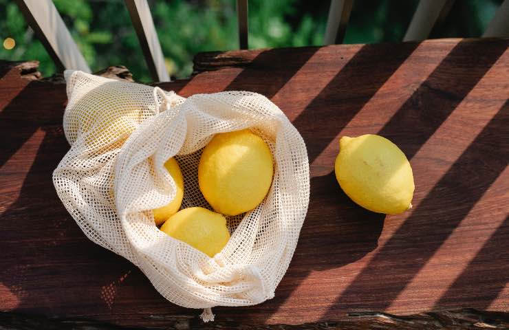 limoni tavolo coltivazione