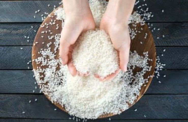 mani riso bianco concime