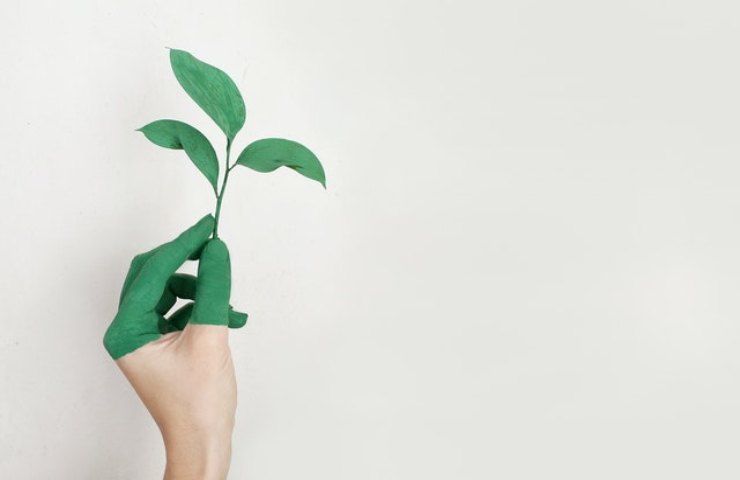 sostenibilità economia verde 