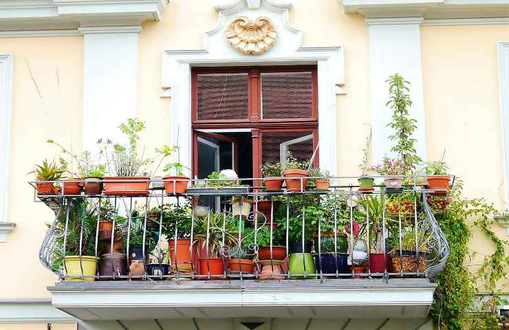 terrazzo balcone fiori piante primavera