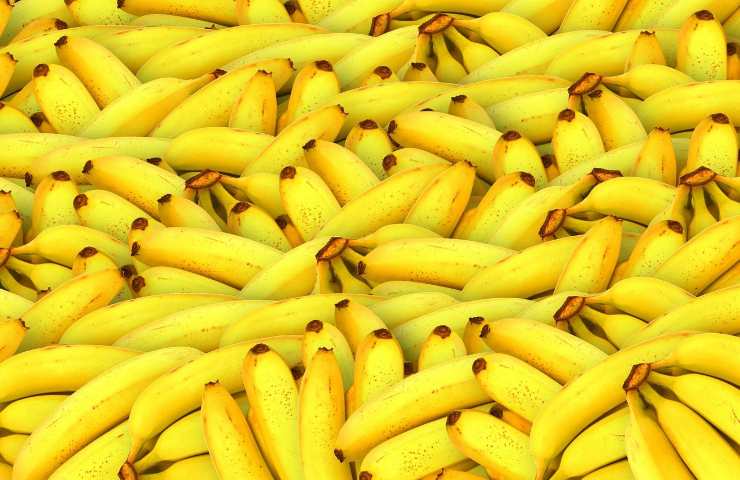 Banane studio americano macchie marroni