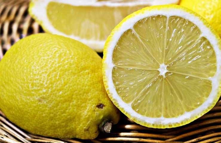 Albero limone rigoglioso