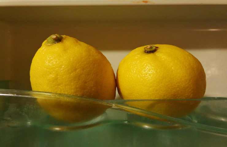 limoni evitare conservazione frigorifero