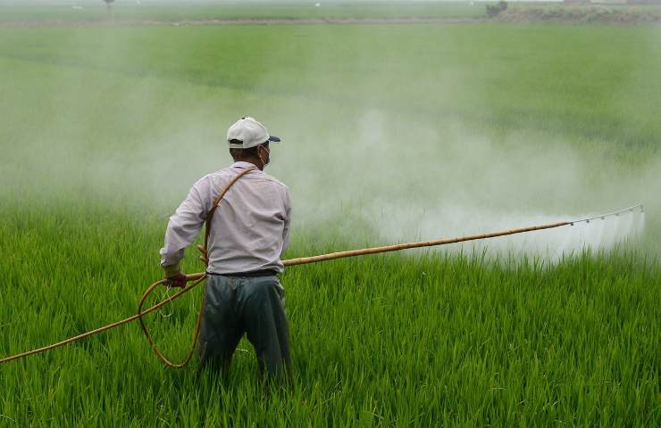 aumento pesticidi Europa