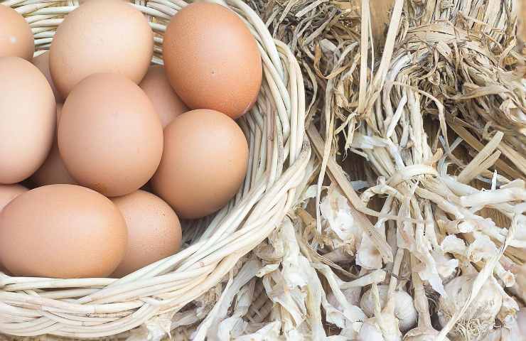 riconoscere uova biologiche