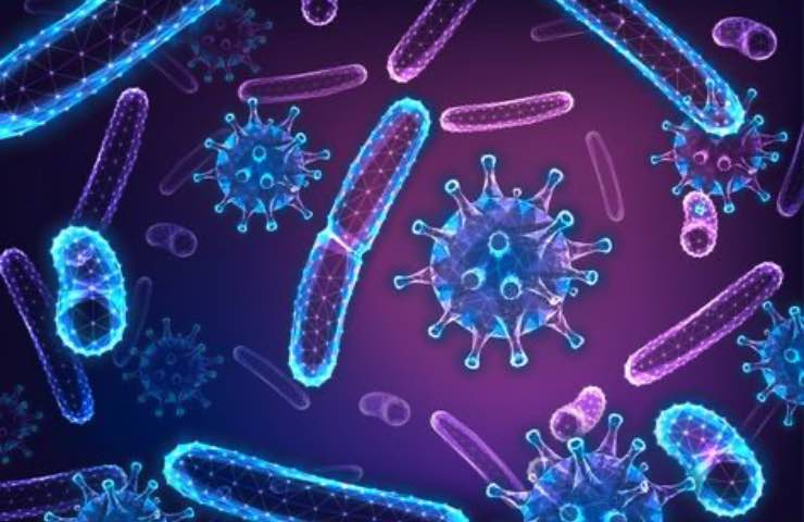 batteri germi virus rischi
