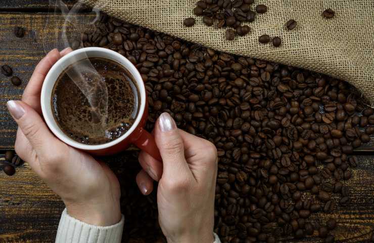 Caffè vs tè quantità caffeina 