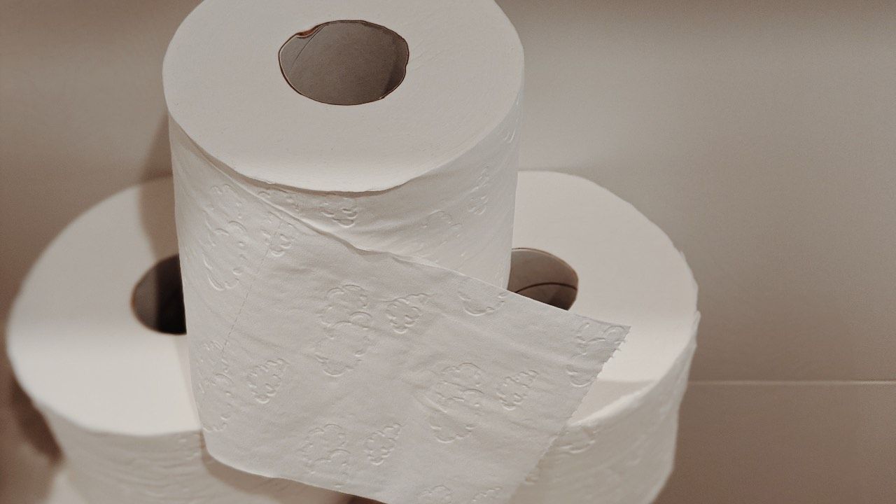 carta igienica pericoli