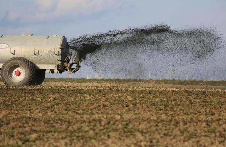 fertilizzanti fai da te sbriciolato come si fa