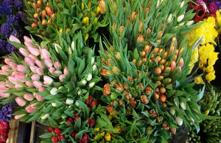 fiori freschi comprare sostenibile 