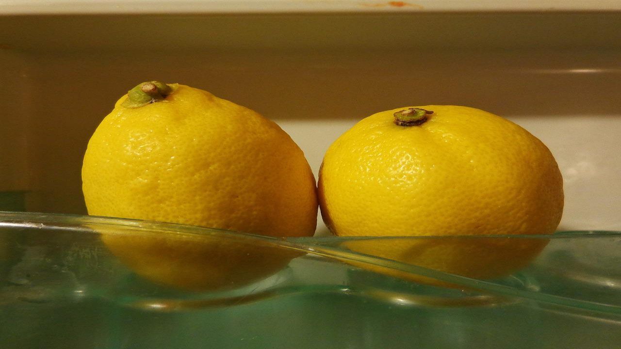 limoni frigorifero evitare motivo