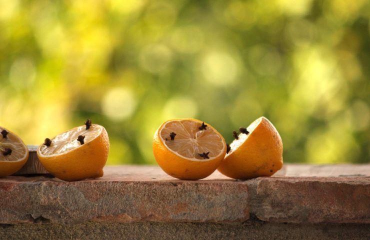 Limone fertilizzante chiodi