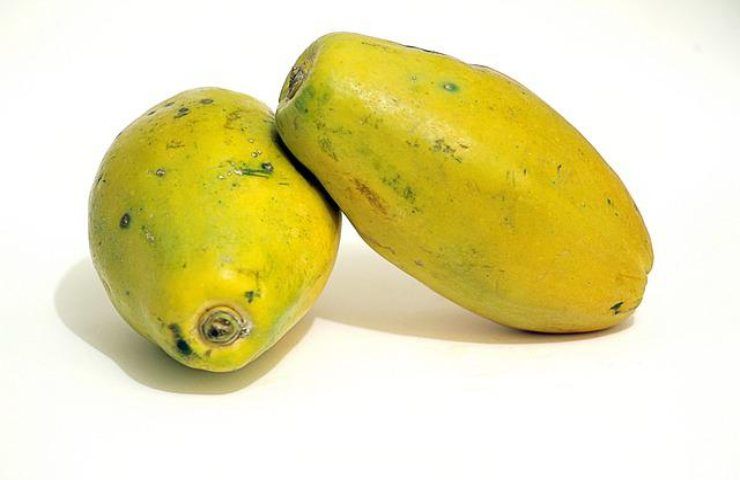 papaya frutto 