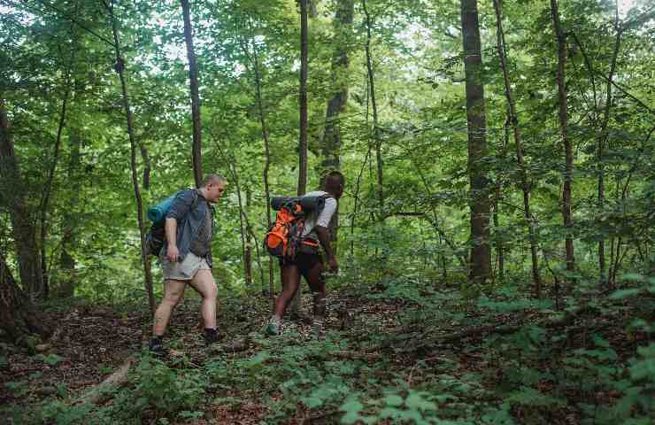 foraging spesa bosco