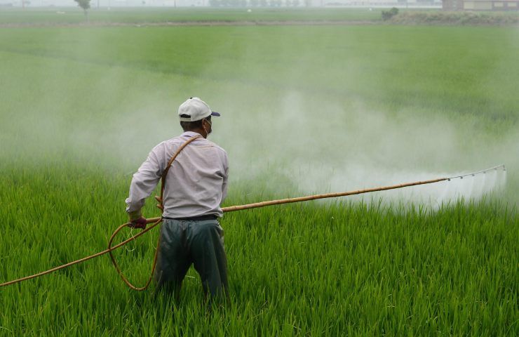 Pesticida naturale campo