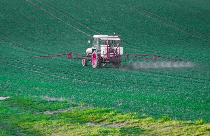 Pesticidi glifosato campo