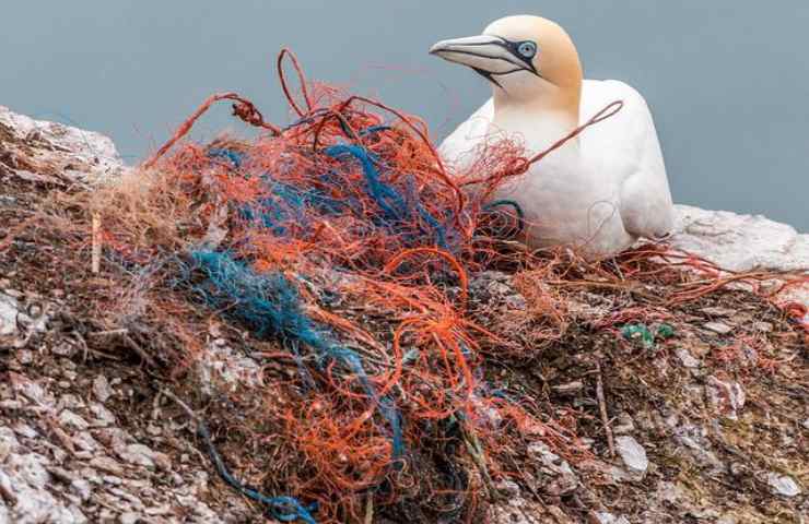 plastica compatibile italia fuori pericolo