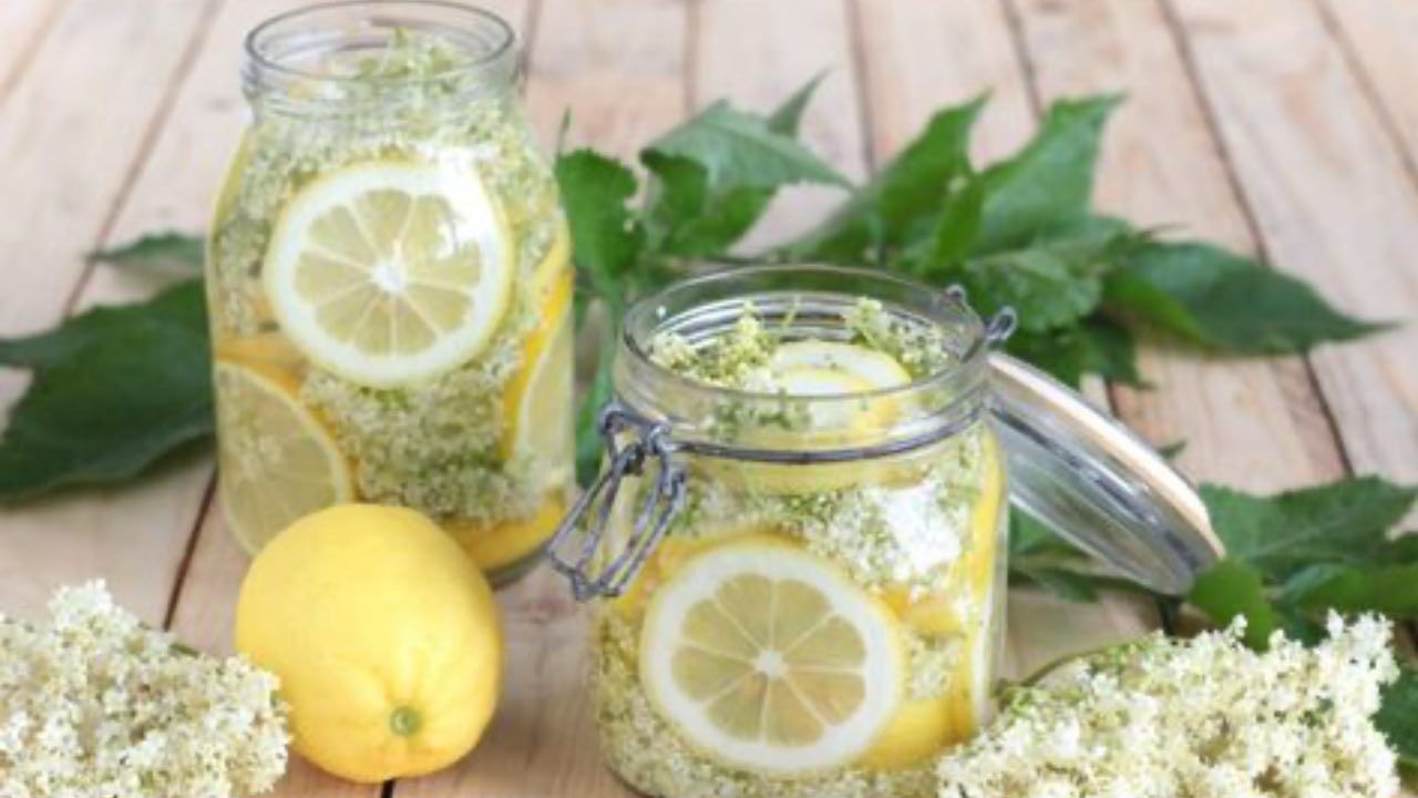 sciroppo sambuco procedimento