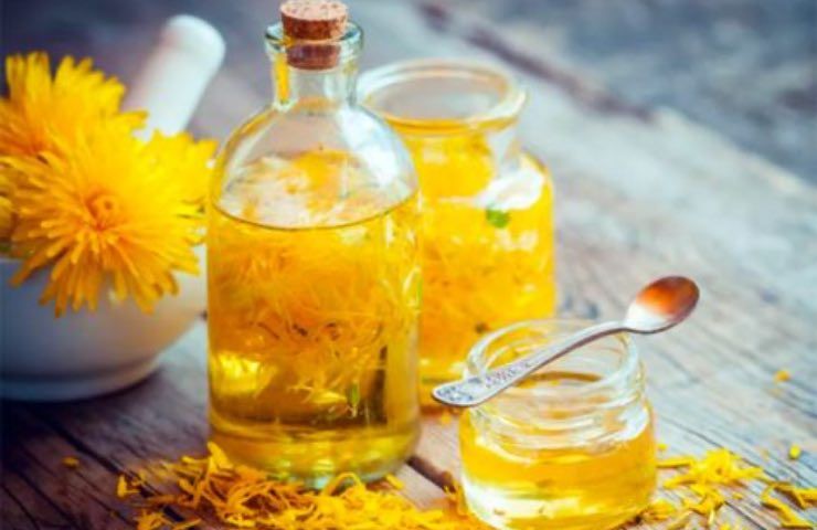 herbal tea dandelion properties