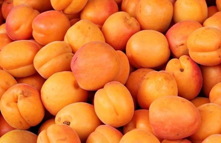 frutto albicocca arancioni