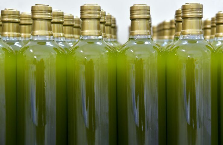 batterio olio d'oliva rischio crisi
