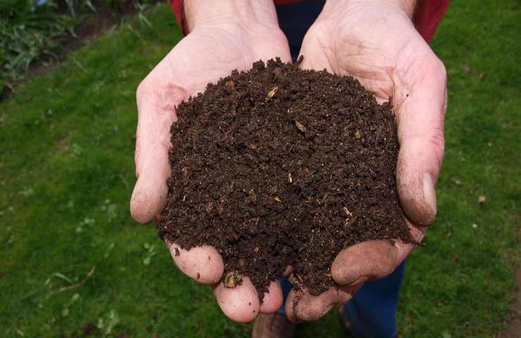 Compost fresco realizzazione casa 