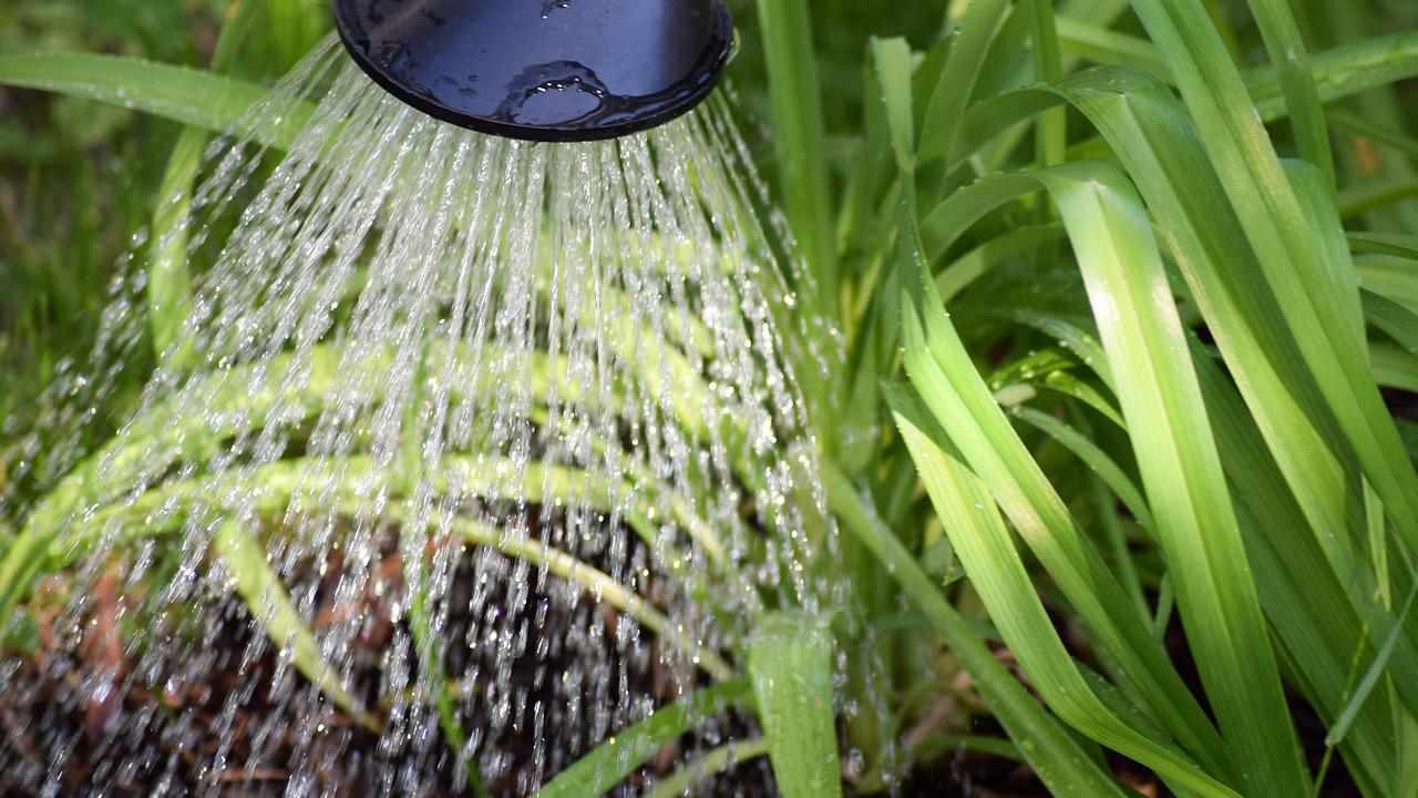 Giardino Innaffiare multa ora