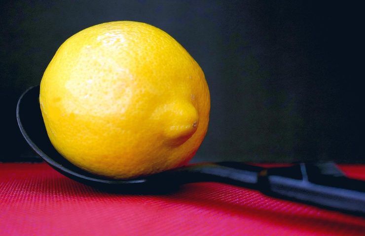 tecnica buccia limone piante