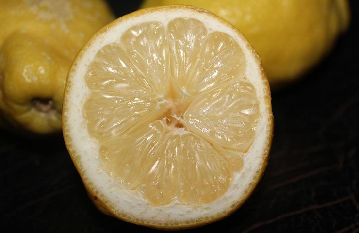 metod moltiplicare piante buccia limone