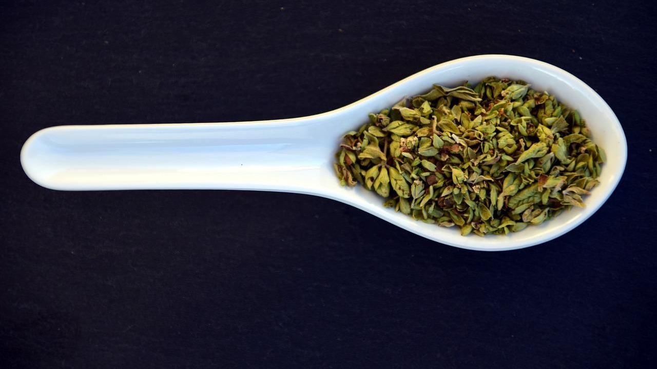 Origano davanzale finestra motivo