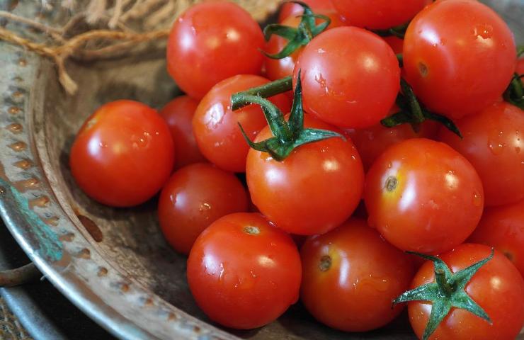 crescita pomodori succosi procedimento