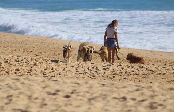 Stabilimenti balneari cani