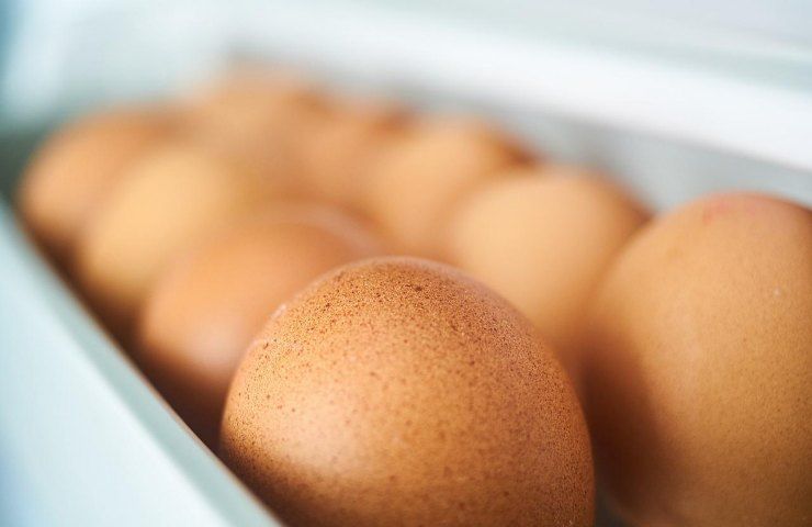 uova perché si conservano in frigorifero