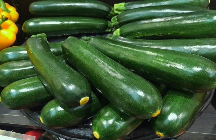 Zucchine conservare freezer come fare