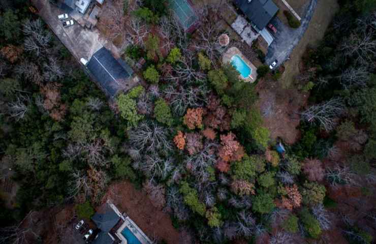 bioarchitettura: gli alberi come cappotto verde per le abitazioni 