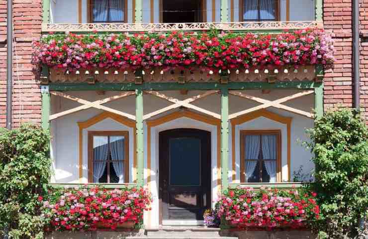 giardino vaso composizione balcone come fare